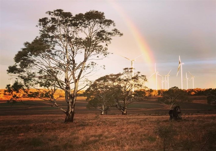  Projects Sapphire Wind Farm rainbow-708-x-495